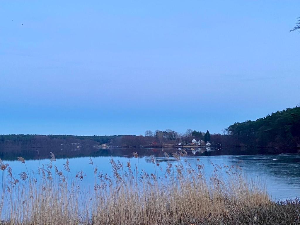 Aparthotel Waldwerk Wurlgrund Lychen Esterno foto