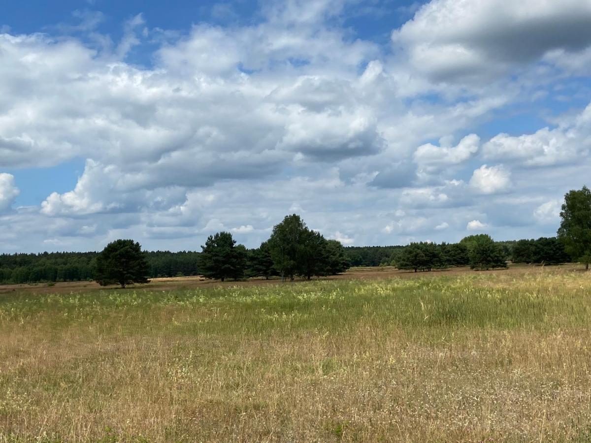 Aparthotel Waldwerk Wurlgrund Lychen Esterno foto