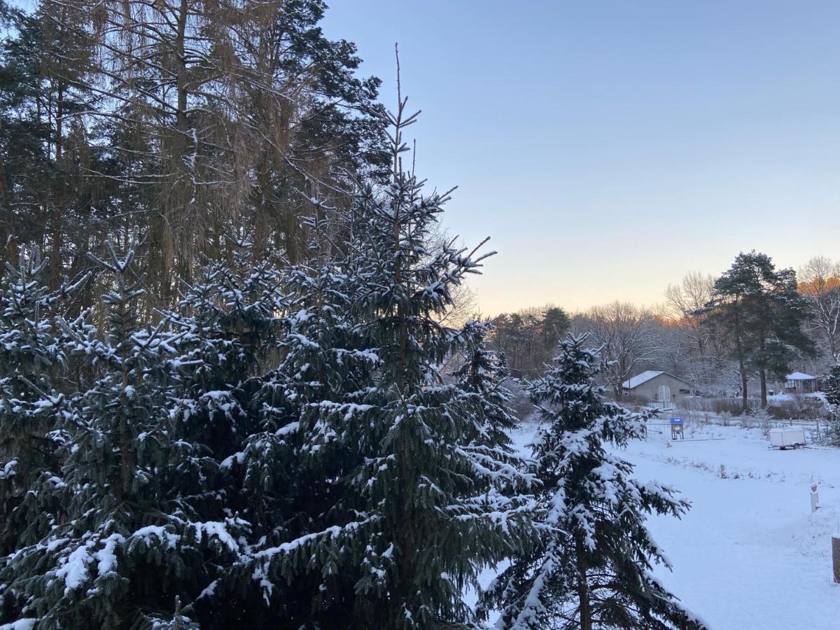 Aparthotel Waldwerk Wurlgrund Lychen Esterno foto