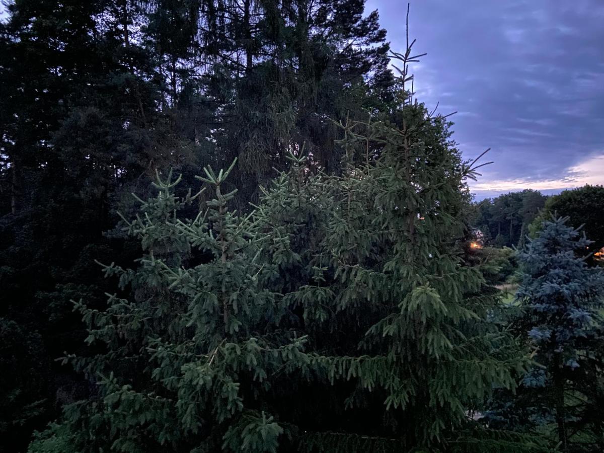 Aparthotel Waldwerk Wurlgrund Lychen Esterno foto