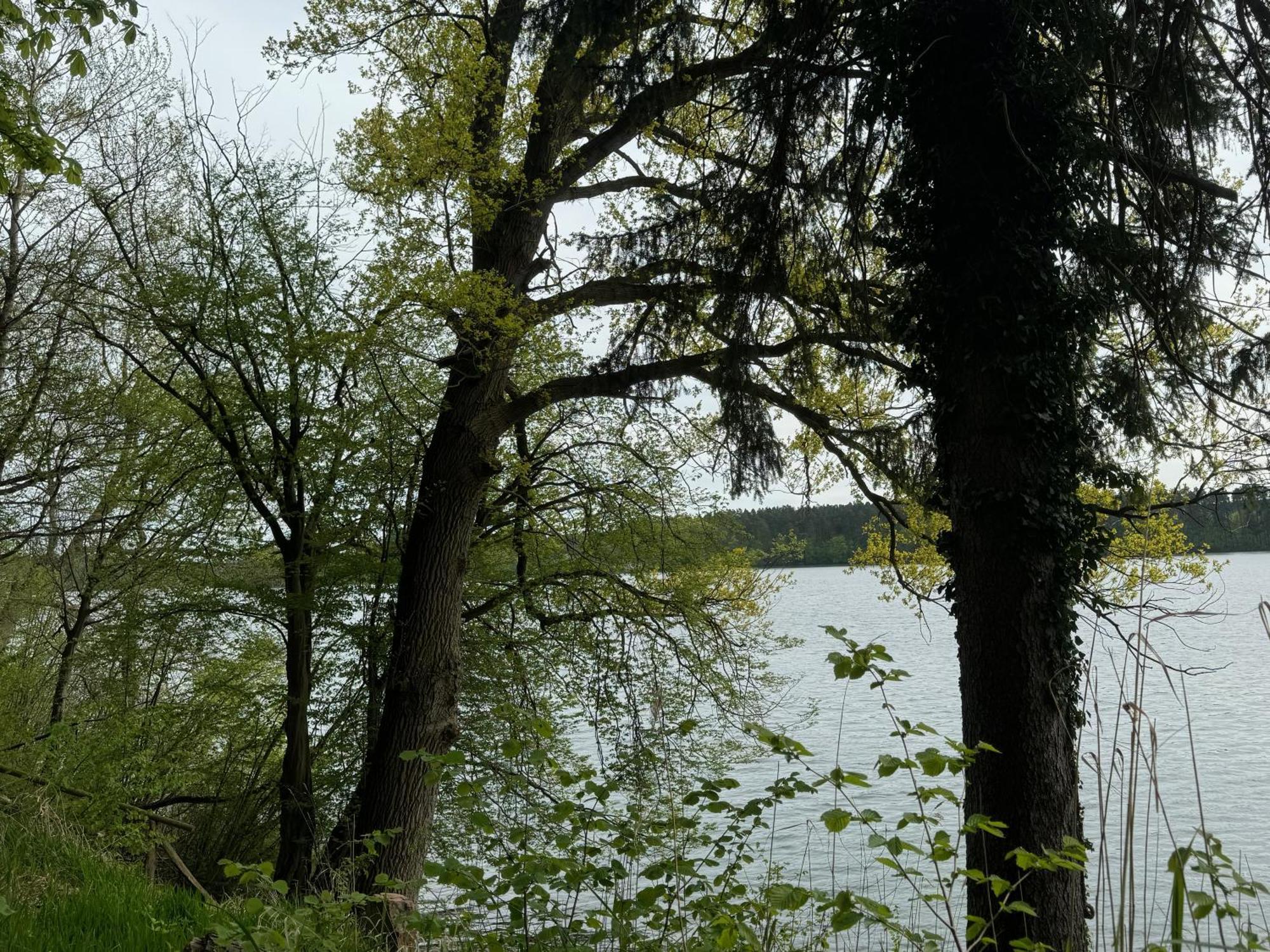 Aparthotel Waldwerk Wurlgrund Lychen Esterno foto