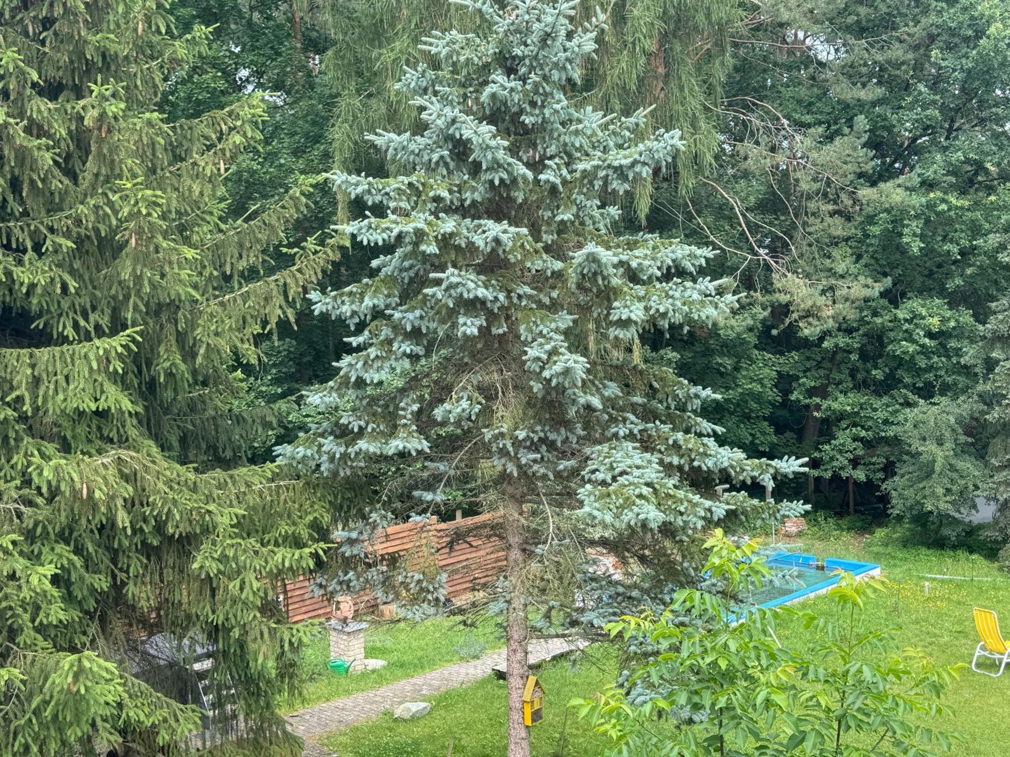 Aparthotel Waldwerk Wurlgrund Lychen Esterno foto